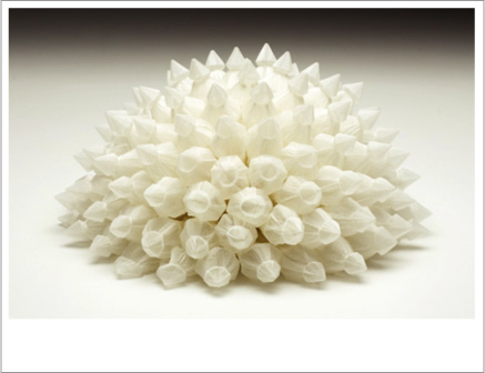 Sea Anenome